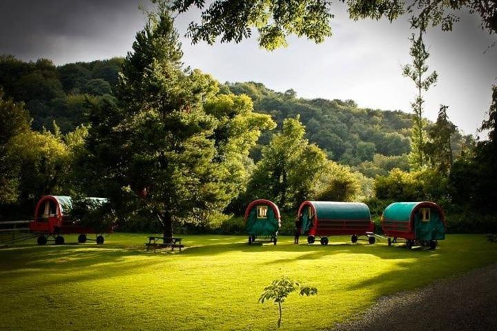 מלון אבוקה Ashton House מראה חיצוני תמונה